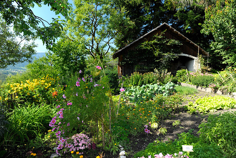 Blumen- und Gemüsegarten