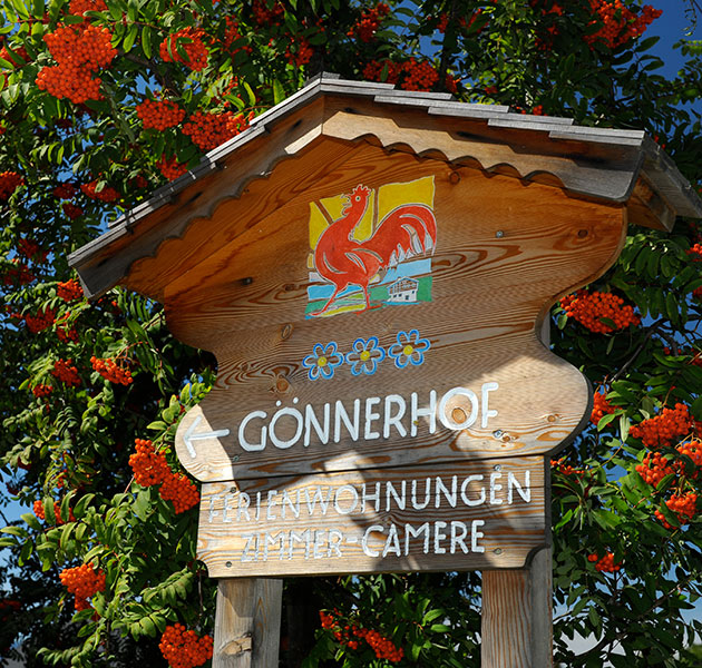 Gönnerhof - Ferienwohnungen